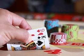 8800 bet